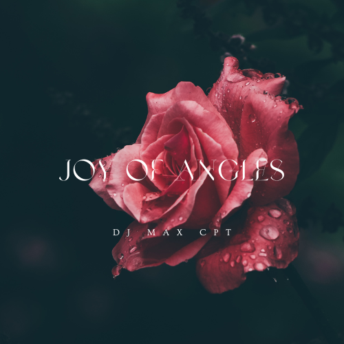 joy of angels - Dj Max Cpt